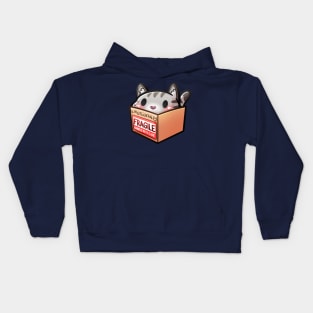 Emotionally Fragile Cat | Cat In A Box Kids Hoodie